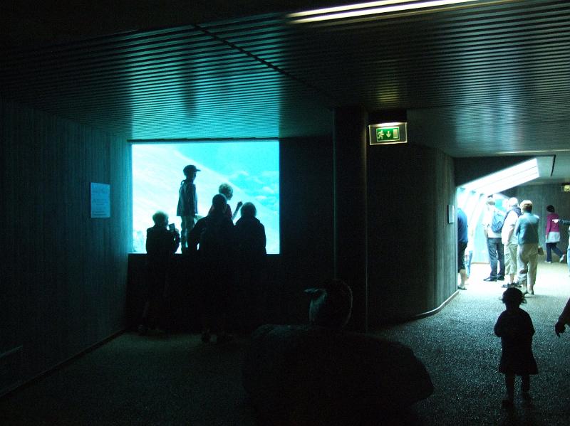 Sofia i  Oceaniariet 039.jpg